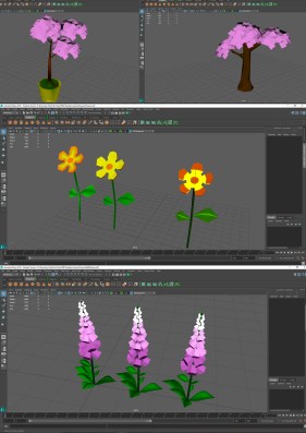 flowerdevelopment1